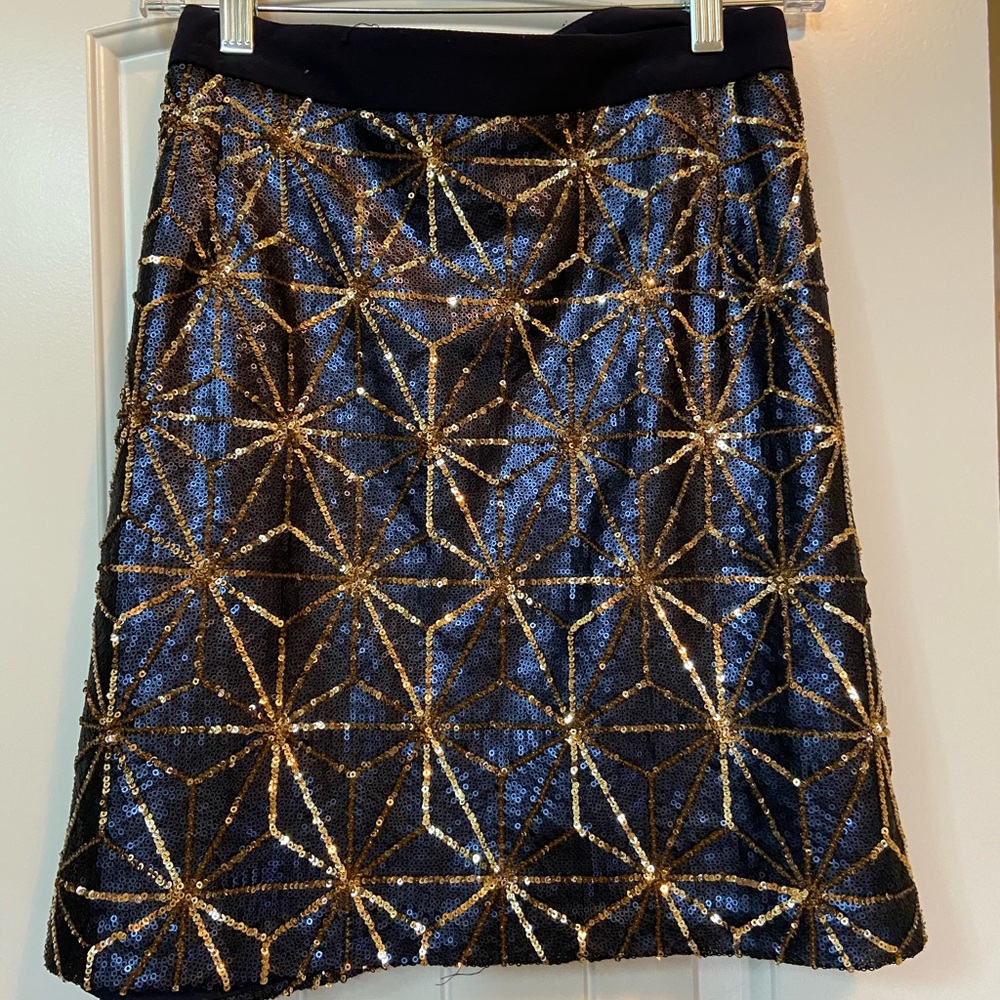 Sparkly Plus size Skirt